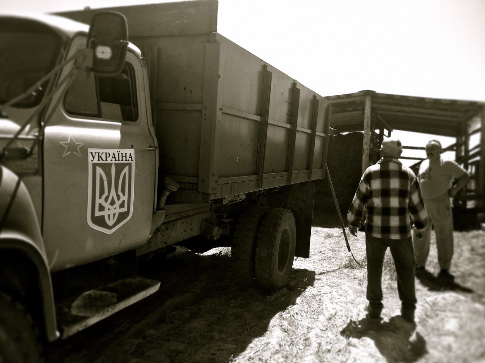 Полуниця та блакитні сири — як у прифронтовій зоні розвивають малий бізнес