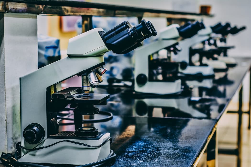 👨🏼‍🔬 Вчені розробили спеціальний розчин, що збільшує термін придатності продуктів
