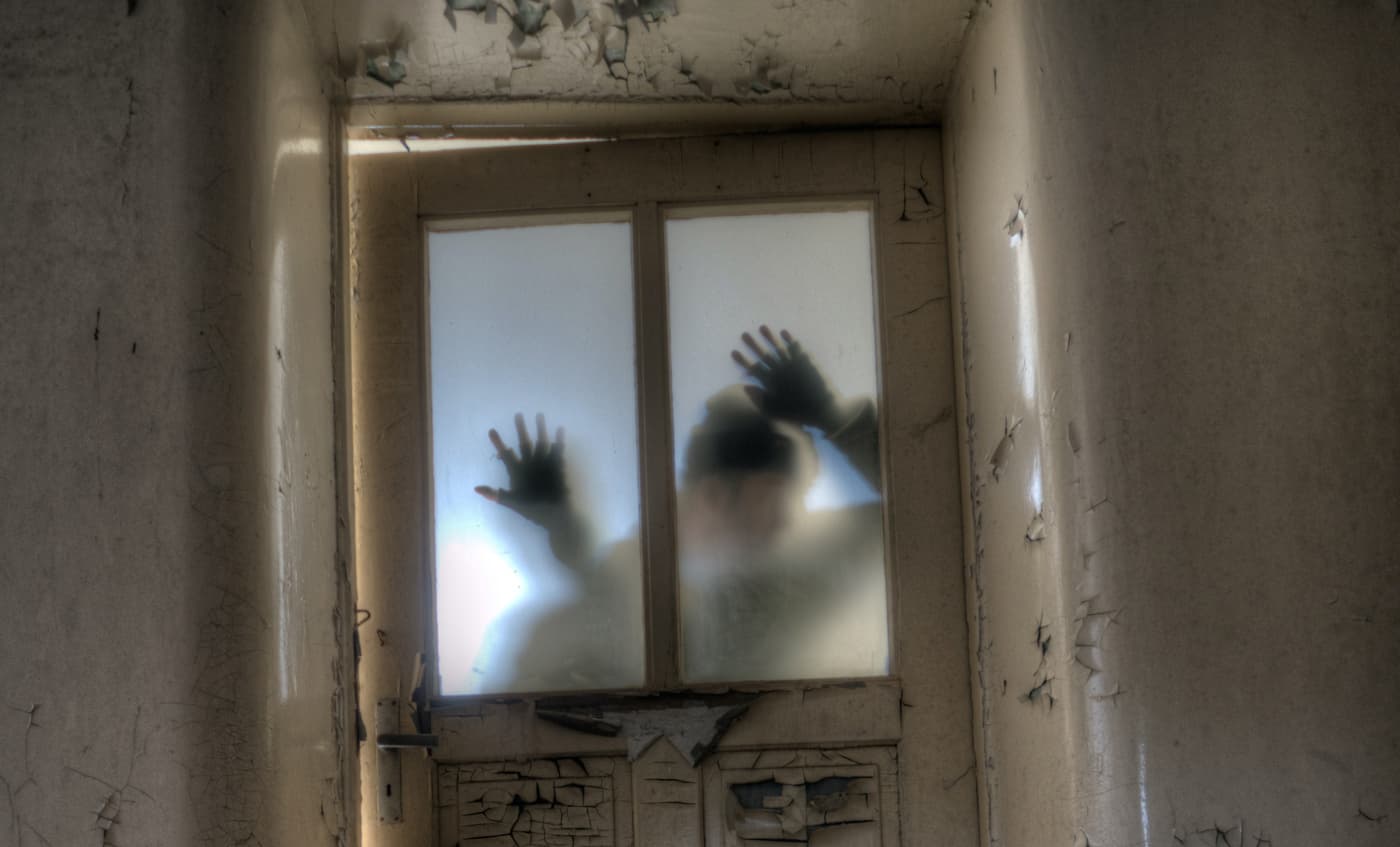 🧟‍♂️ Вчені змогли оживити мозок мертвої свині — чи можливе безсмертя?