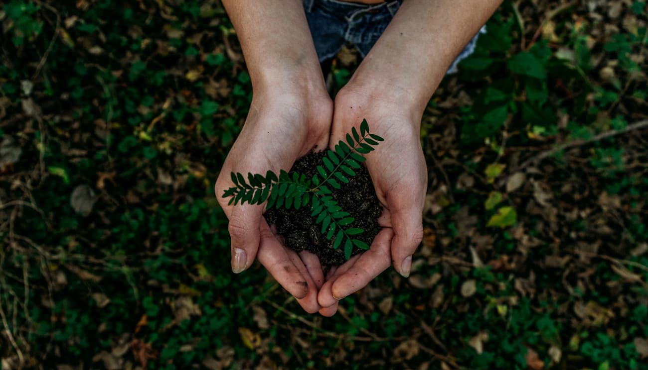 🌱 Підвищення обізнаності про «екологічні хотспоти» — що це таке та чому їх необхідно зберегти