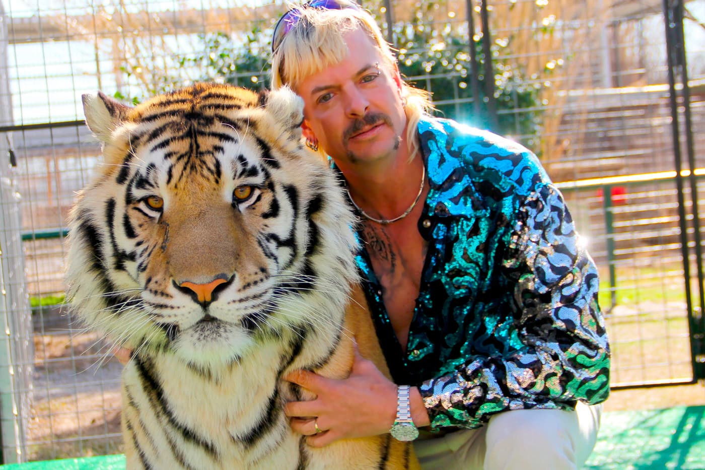 🐯 Netflix випустить другий сезон серіалу Tiger King