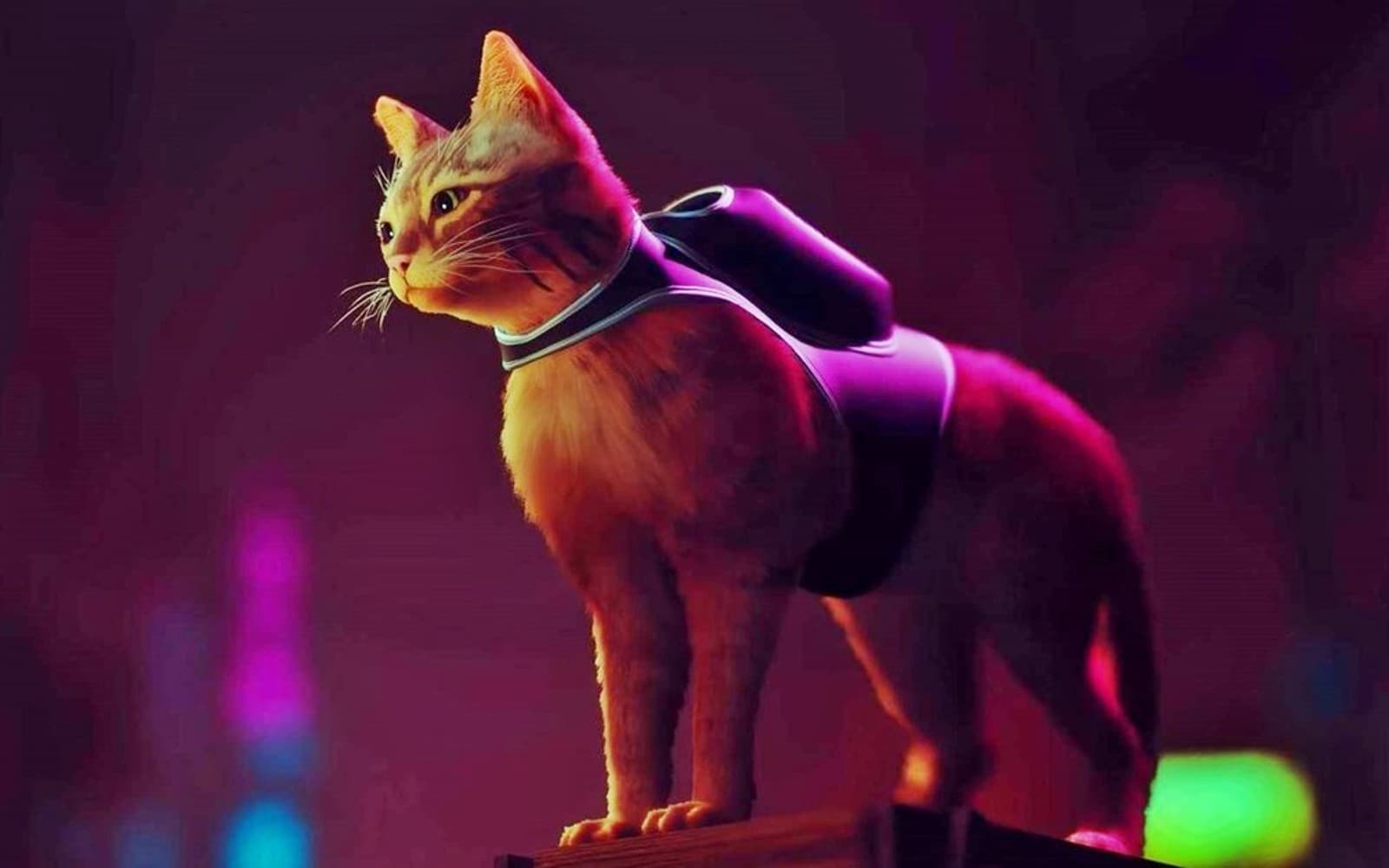 🐈 Stray змагатиметься з Elden Ring за звання найкращого ігрового сценарію від премії «Неб'юла»