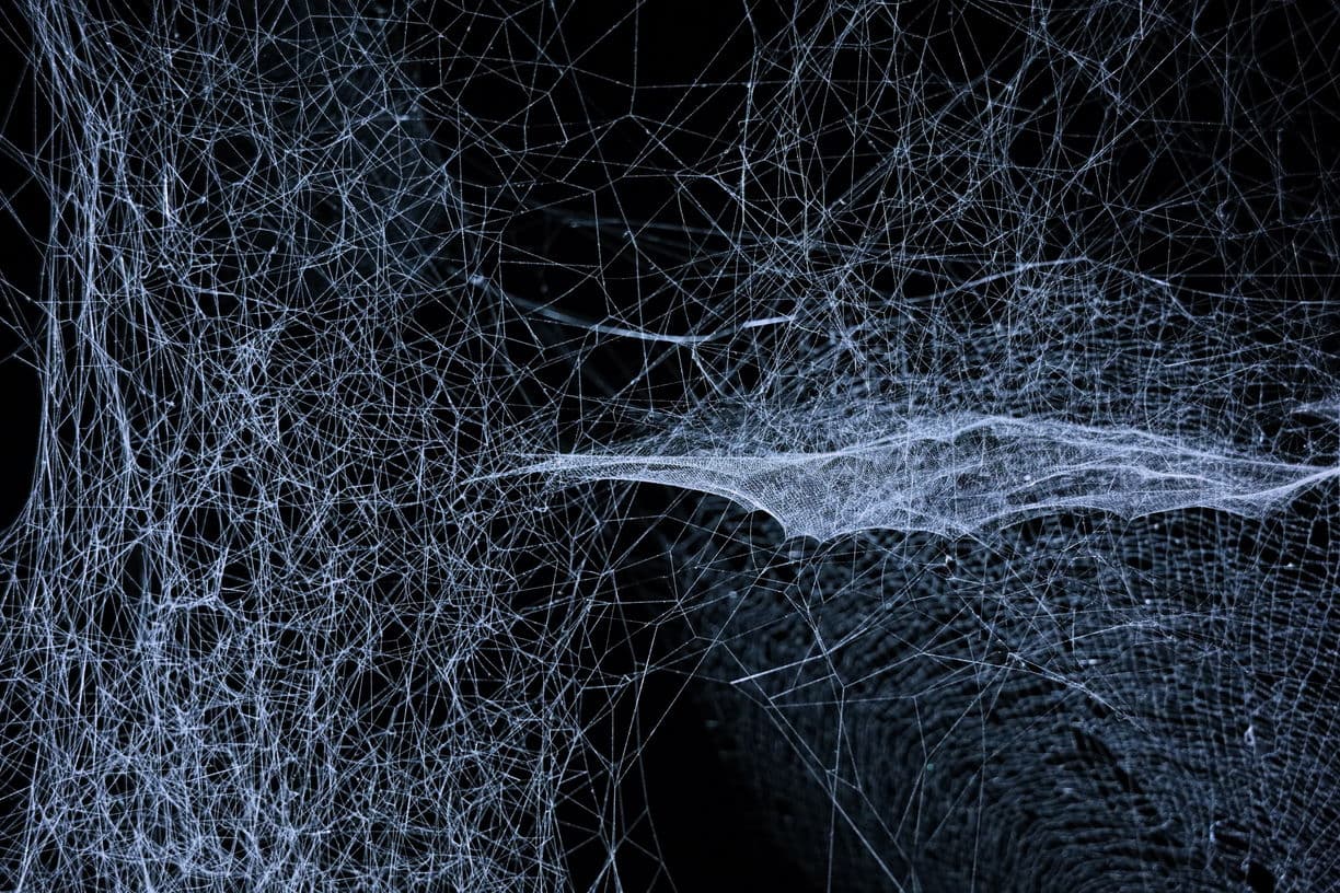 Темний бік анонімності — що таке Darknet і як він працює