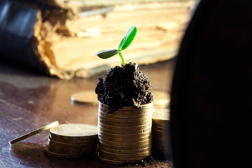 Blockchain запустять для земкадастру України