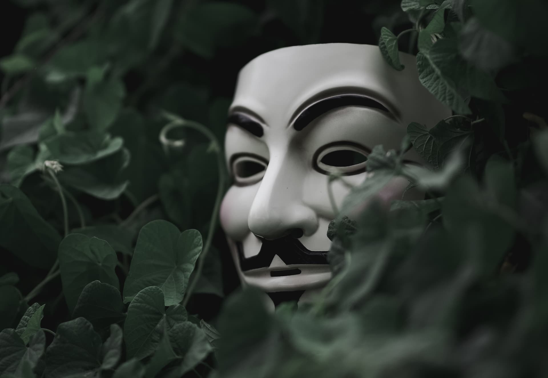 8 ознак scam-проекту, або Як не інвестувати у фейк — поради CEO Amira Capital