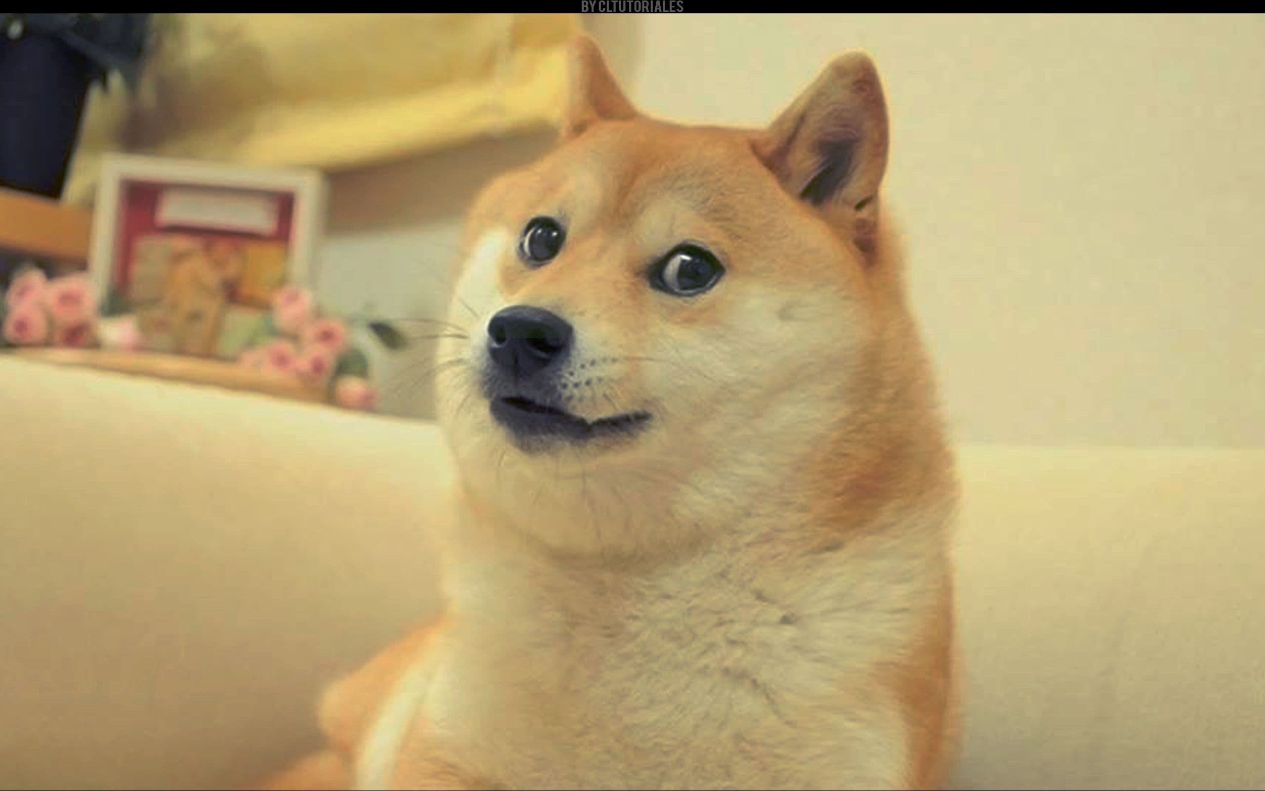 🐕 Ціна на Dogecoin підстрибнула на 70% через події з GameStop