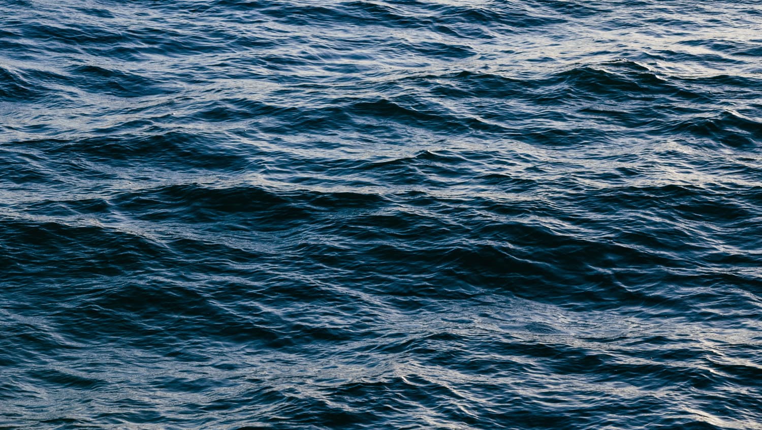 🌊 NASA створила мапу з прогнозом змін рівня води