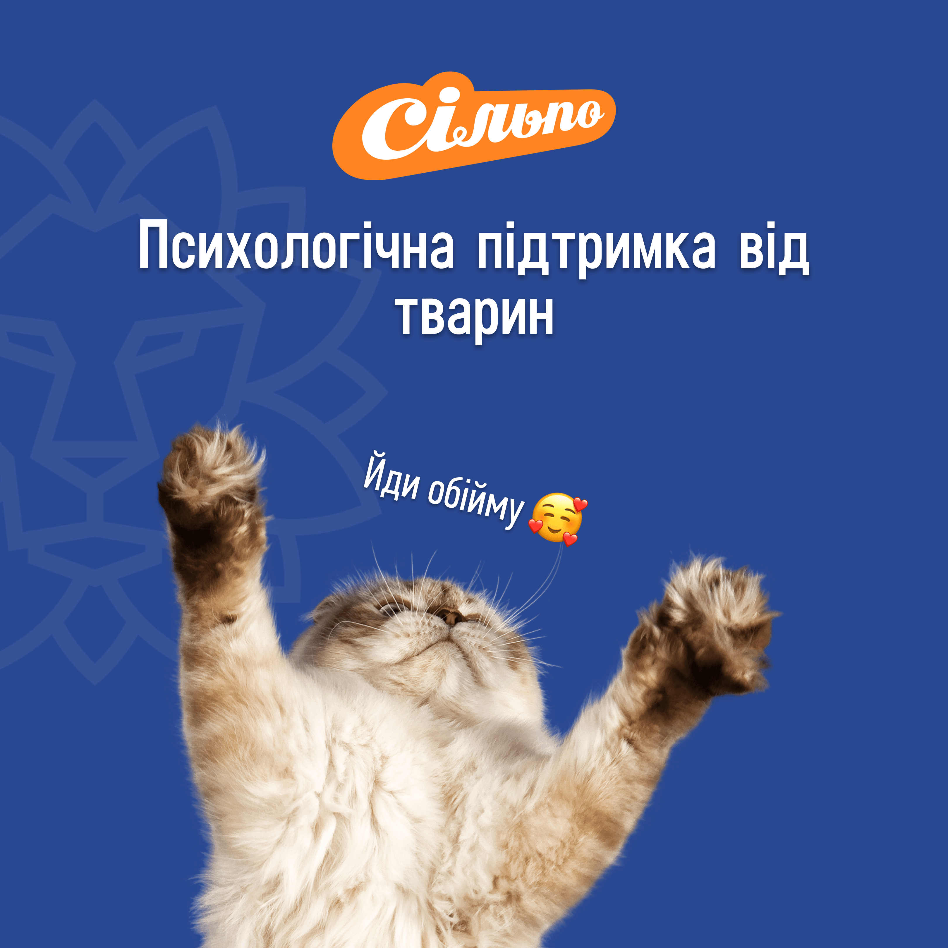 🐈 «Сільпо» запустив сервіс психологічної підтримки від тварин