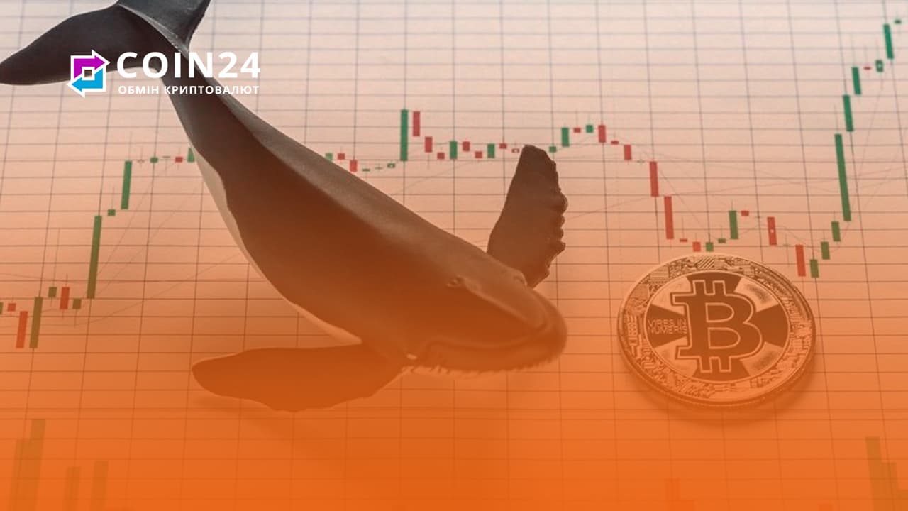 🐋 Хто такі кити та хом'яки на ринку криптовалют?
